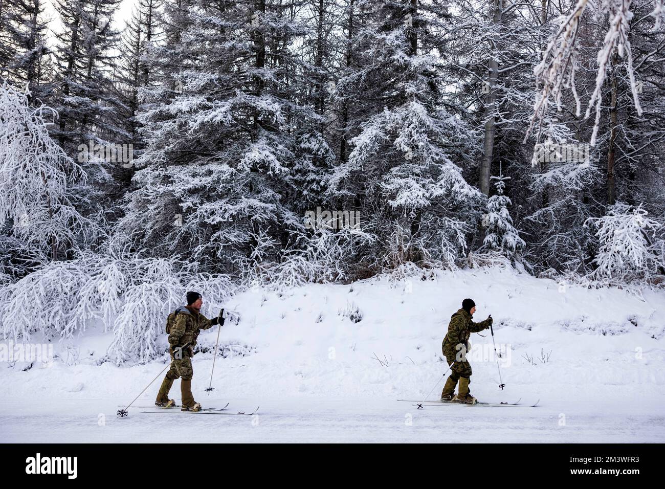 Anchorage, Alaska, USA. 3.. Dezember 2022. USA Marines mit dem 2D. Aufklärungsbataillon, 2D. Marine-Division, führen eine 8-Meilen-Bewegung auf Skiern während des Kältetrainings auf der Joint Base Elmendorf-Richardson, Alaska, Dezember durch. 3, 2022. Diese Schulung wurde durchgeführt, um die Kampfeffektivität der Einheit bei extrem kaltem Wetter zu verbessern, während sie sich auf einen bevorstehenden Einsatz für das Marine Corps Forces Europa-Afrika Einsatzgebiet vorbereiten. (Kreditbild: © Dylan Chagnon/USA Marines/ZUMA Press Wire Service) Stockfoto