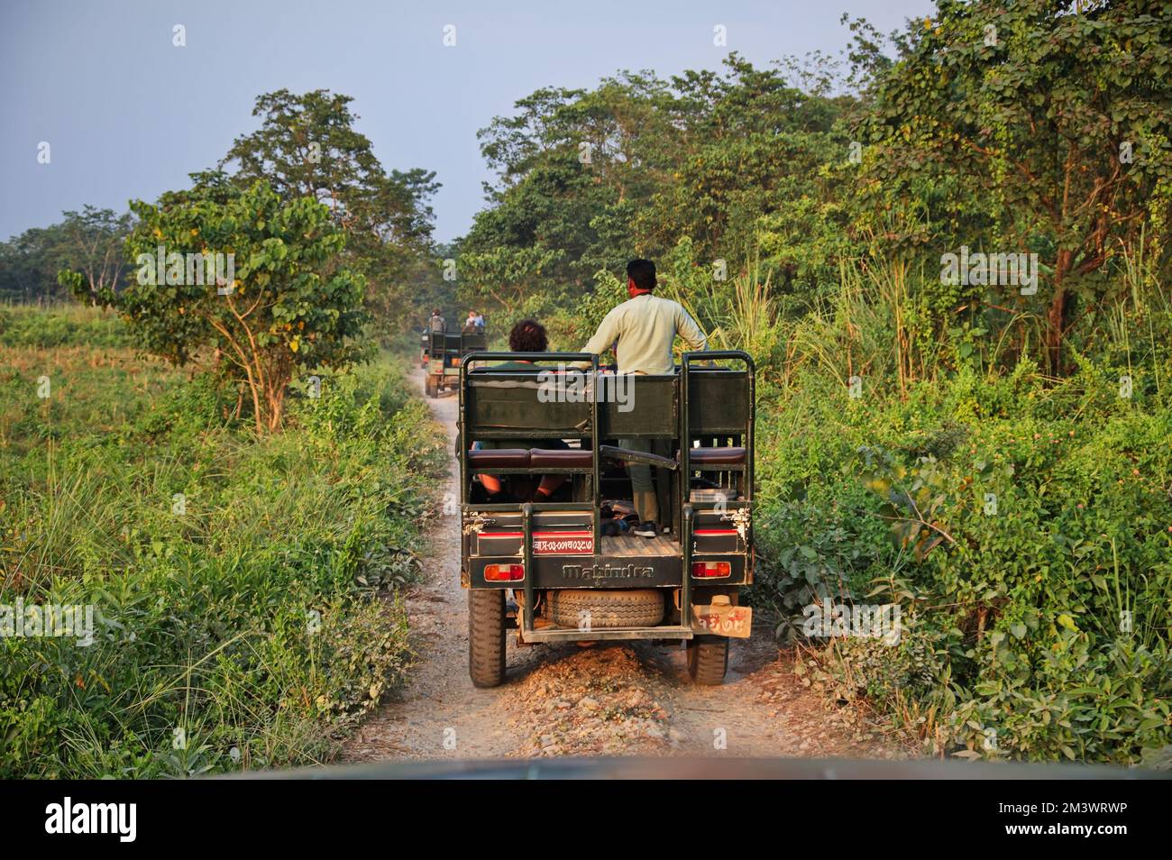 Fahrt mit dem Jeep durch den Dschungel und das Grasland des Chitwan National Park, Nepal Stockfoto