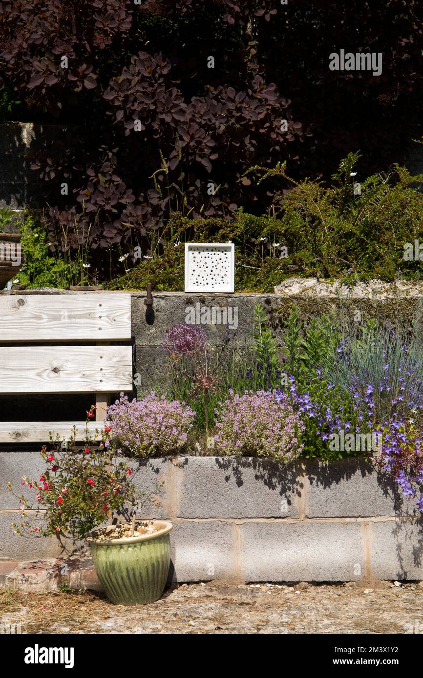 Garten mit einem erhöhten „mediterranen“ Bett, einer Bank und einem Block zum Nisten von Bienen. Stockfoto