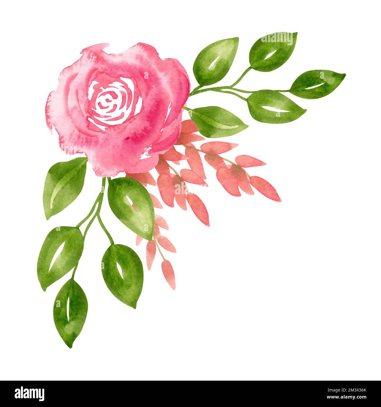 Aquarelle Rosenblume mit grünen Blättern. Eck-Bouquet-Komposition für Hochzeitseinladungen oder Grußkarten. Botanisches Zeichnen auf isoliertem Hintergrund. Blumige abstrakte Skizze im Vintage-Stil. Stockfoto