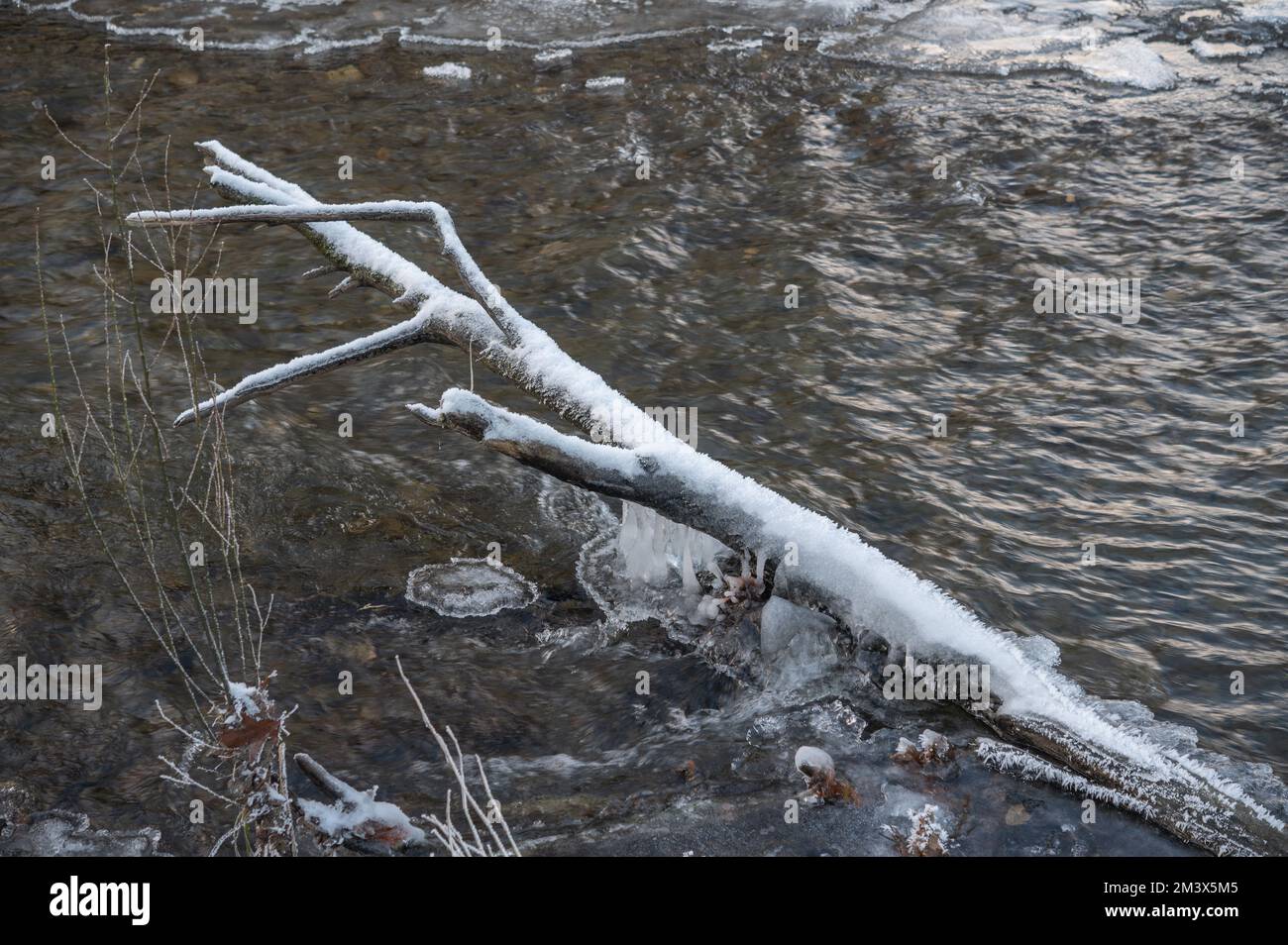 Im Dezember 2022 bildete sich im Fluss Cothi Eis. Carmarthenshire, Wales, Großbritannien Stockfoto