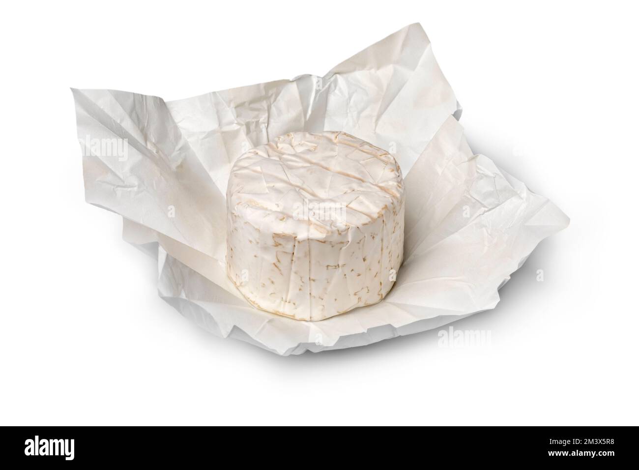 Ganzer französischer Bresse Bleu Käse auf weißem Papier Nahaufnahme isoliert auf weißem Hintergrund Stockfoto