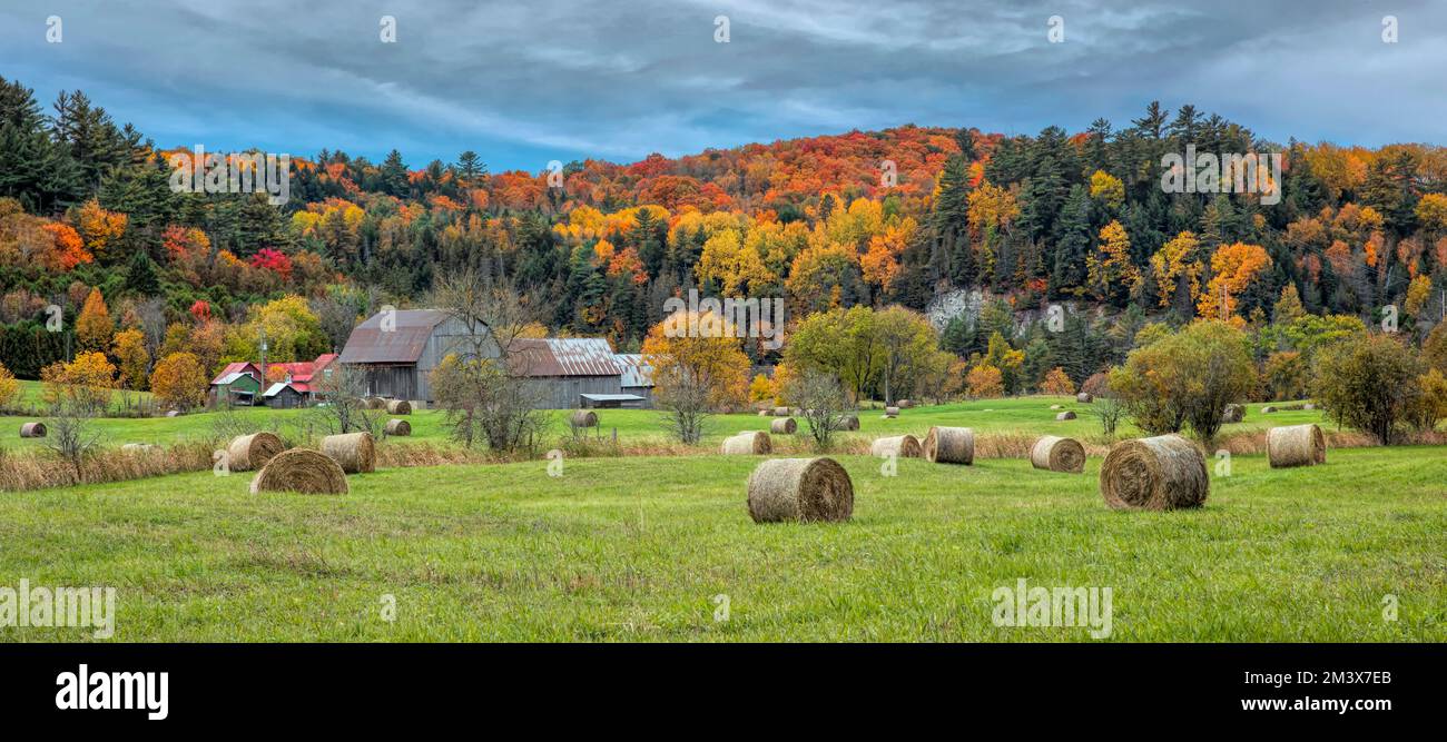 Eine wunderschöne Herbstszene mit Heuballen auf einem Bauernhof in der Nähe von Chelsea, Quebec, Kanada Stockfoto