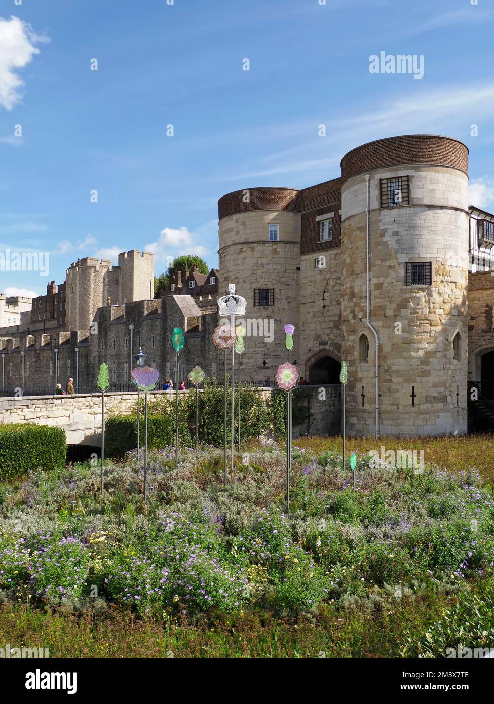 Superbloom, wilder Blumengraben im Tower of London, London, England, Großbritannien Stockfoto