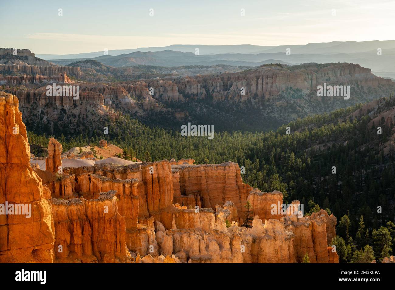 Hoodoos Glow Orange im Morgenlicht unter Bryce Point im Bryce Canyon National Park Stockfoto