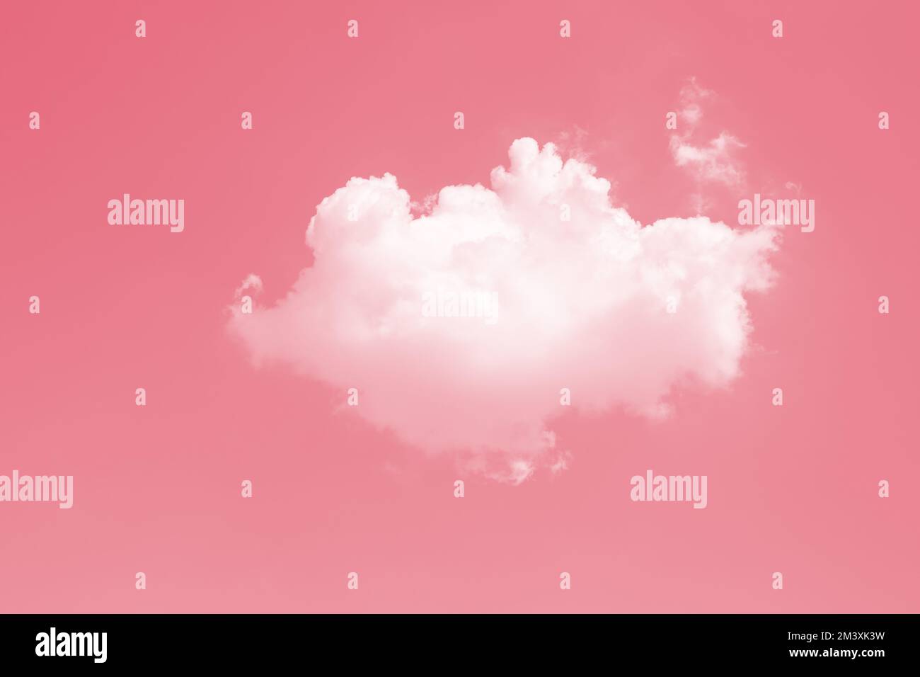 Süße, reizende Single, eine kleine, geschwollene weiße Wolke gegen den Himmel, rosa Farbton für den Liebestag Stockfoto