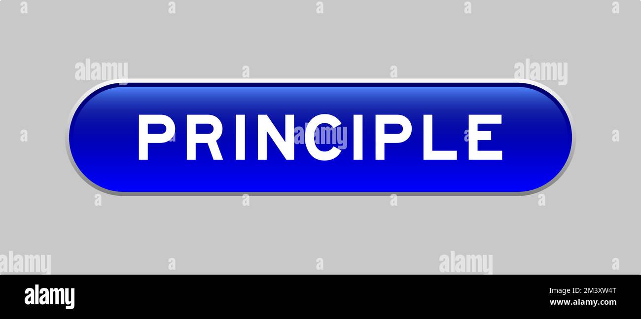 Blauer kapselförmiger Knopf mit Wortprinzip auf grauem Hintergrund Stock Vektor