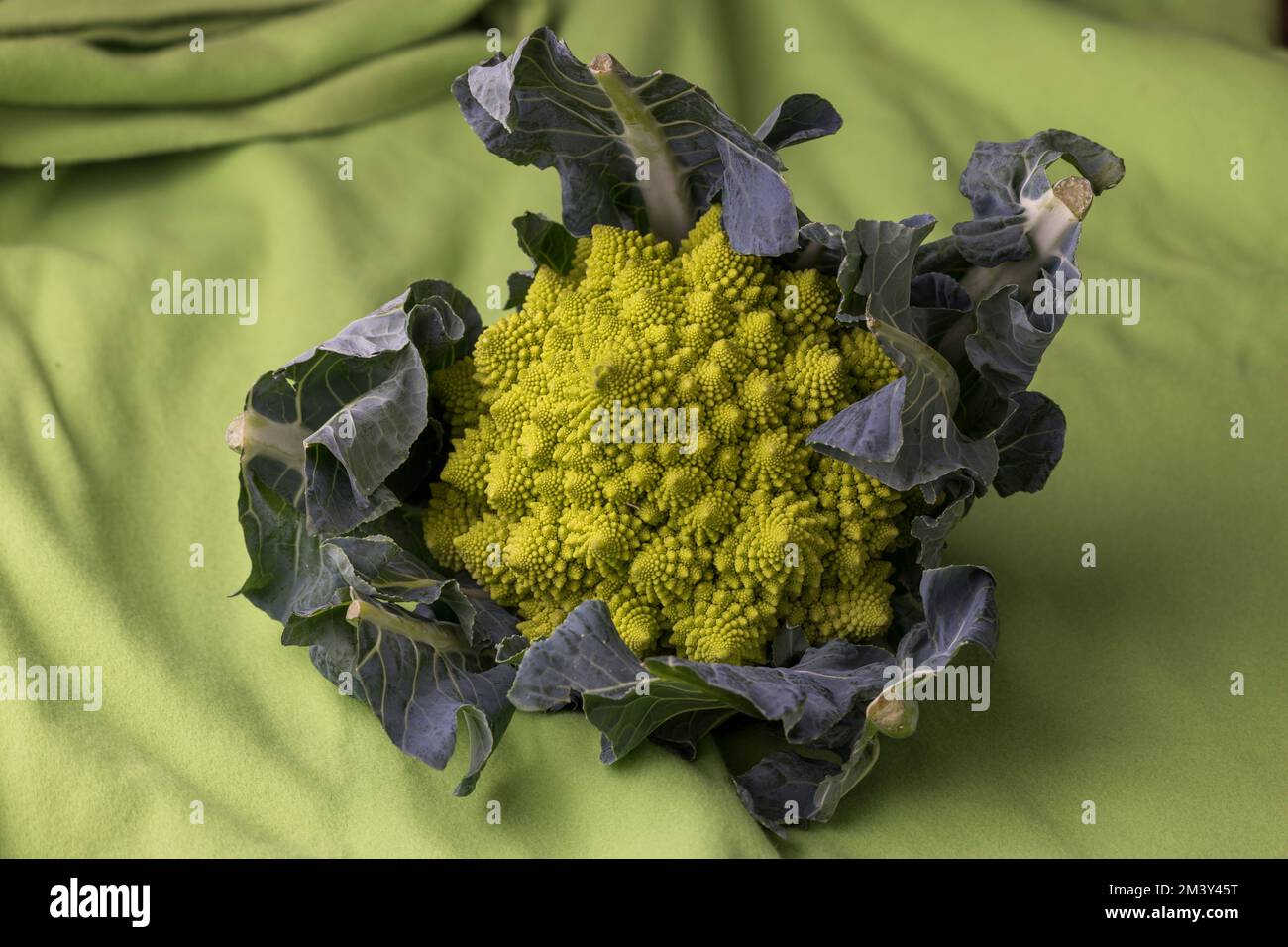 Nahaufnahme eines rohen Romanesco auf Grün Stockfoto
