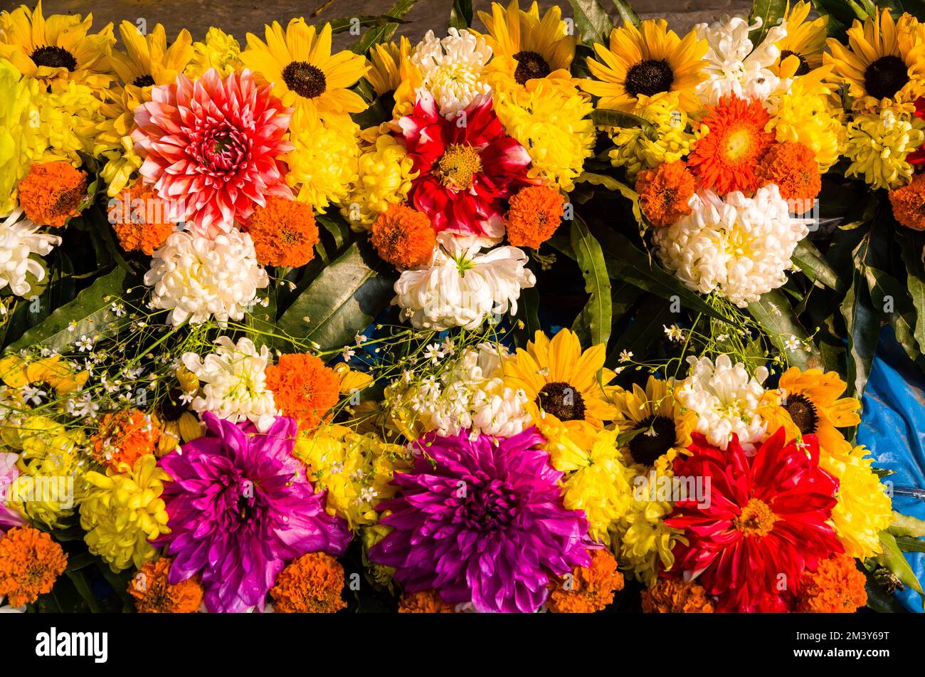 Blumenarrangements auf dem Blumenmarkt von Kalkutta. Der 125 Jahre alte Blumenmarkt von Kalkutta ist der größte Blumenmarkt im Osten Indiens Stockfoto