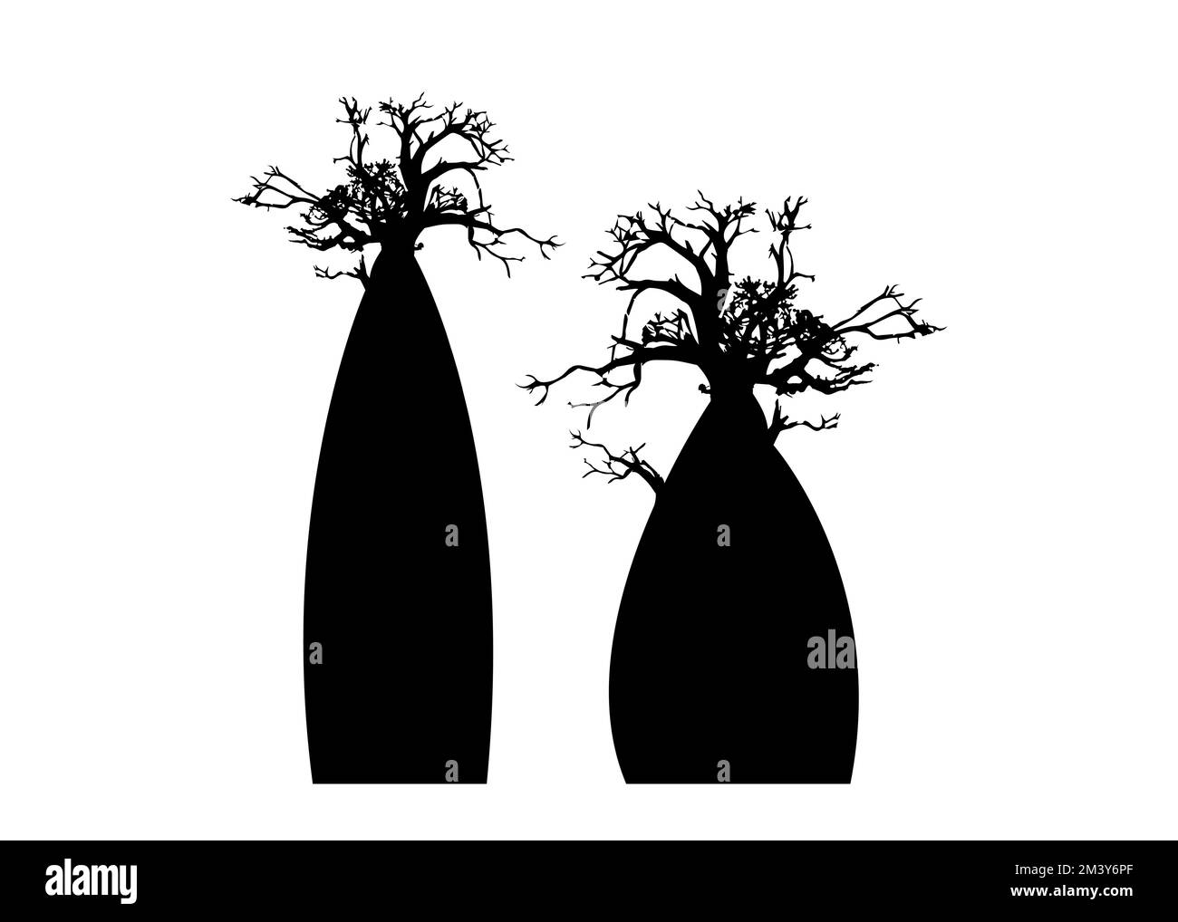 Boob- oder Baobab-Baumset Vektorbäume Silhouette Logo-Symbol, Illustrationszeichen isoliert auf weißem Hintergrund Stock Vektor