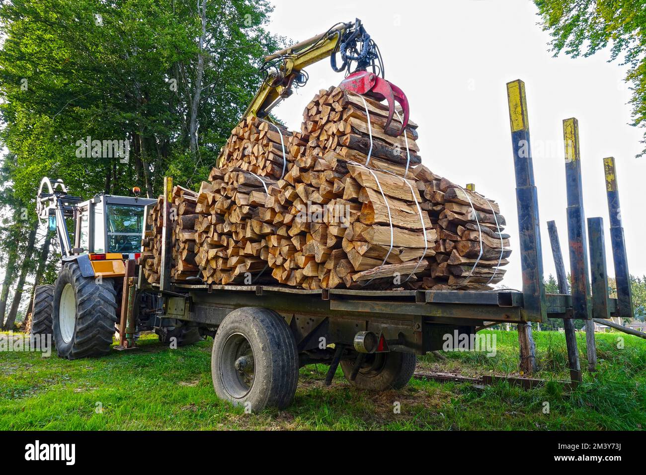 Pakete aus Brennholz und Zugmaschinenanhänger Stockfoto