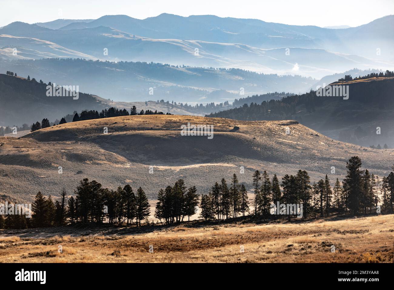 WY05181-00....WYOMING - Ridge Lines nahe Tower Junction, Yellowstone National Park. Stockfoto