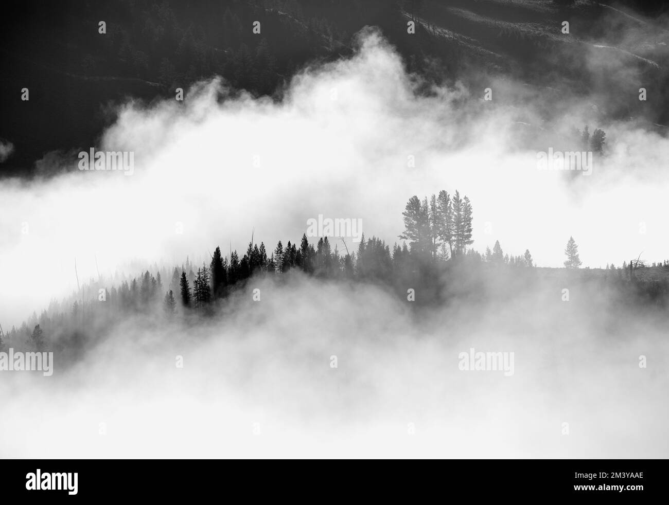 WY05184-00....WYOMING - Nebel im Yellowstone River Valley in der Nähe der Tower Falls. Yellowstone-Nationalpark. Stockfoto