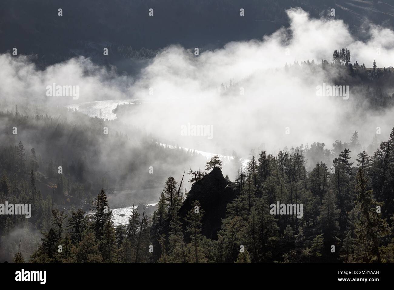 WY05186-00....WYOMING - Nebel im Yellowstone River Valley in der Nähe der Tower Falls. Yellowstone-Nationalpark. Stockfoto