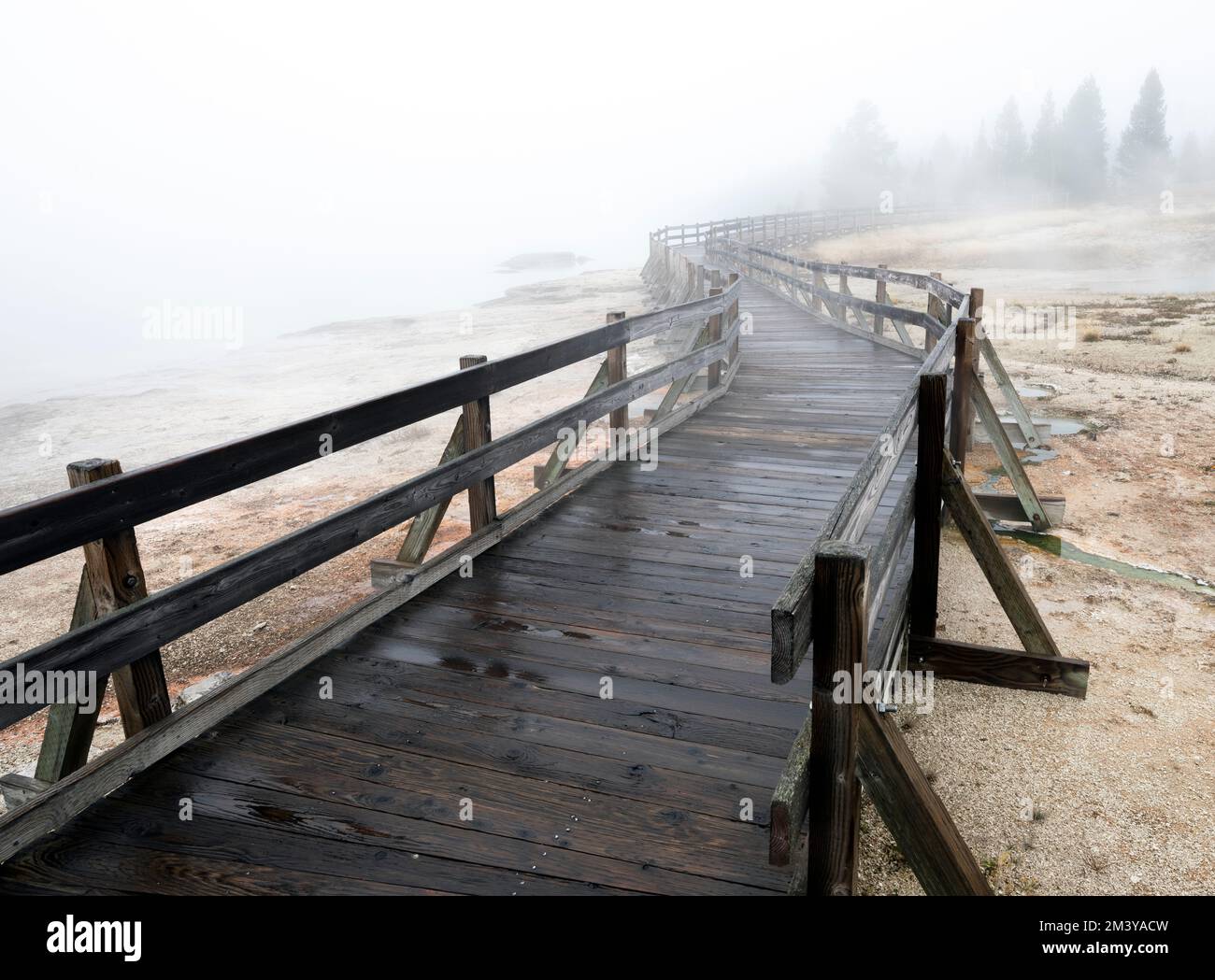 WY05197-00....WYOMING -Promenade am West Thumb, Yellowstone-Nationalpark. Stockfoto