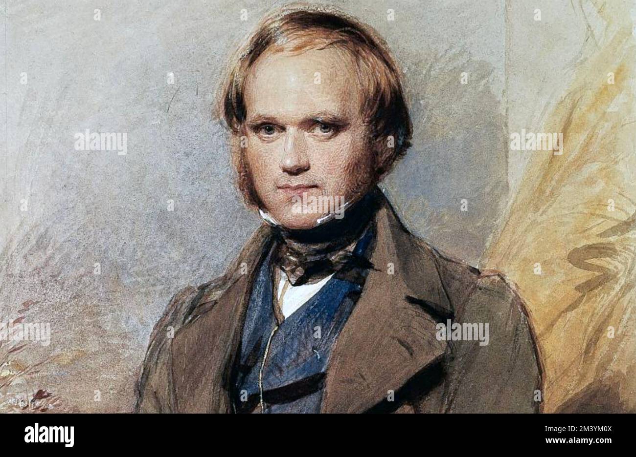 CHARLES DARWIN (1809-1882) Englischer Naturforscher ca. 18823 Stockfoto