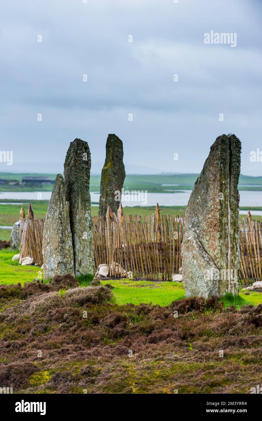 Zum UNESCO-Weltkulturerbe gehörender Steinkreis, Ring of Brodgar, Orkney Islands, Vereinigtes Königreich Stockfoto