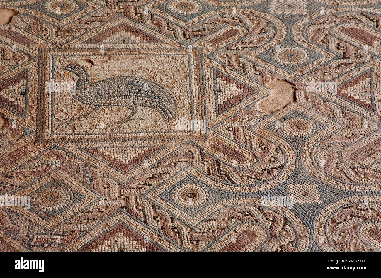 Bodenmosaik, Eustolios Villa, Ausgrabungsstätte, Kourion, Zypern Stockfoto