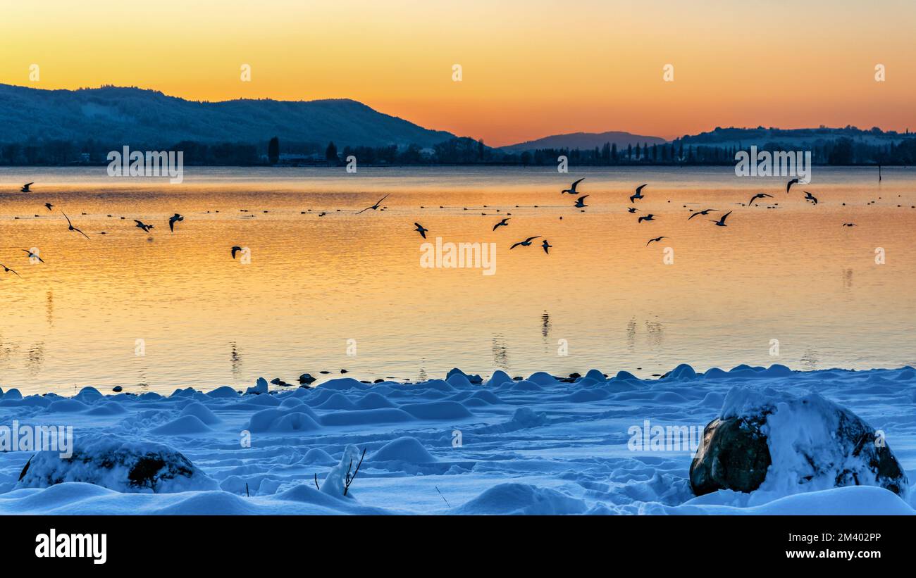 Winterurlaub am Bodensee mit Sonnenschein und blauem Himmel und viel Schnee Stockfoto