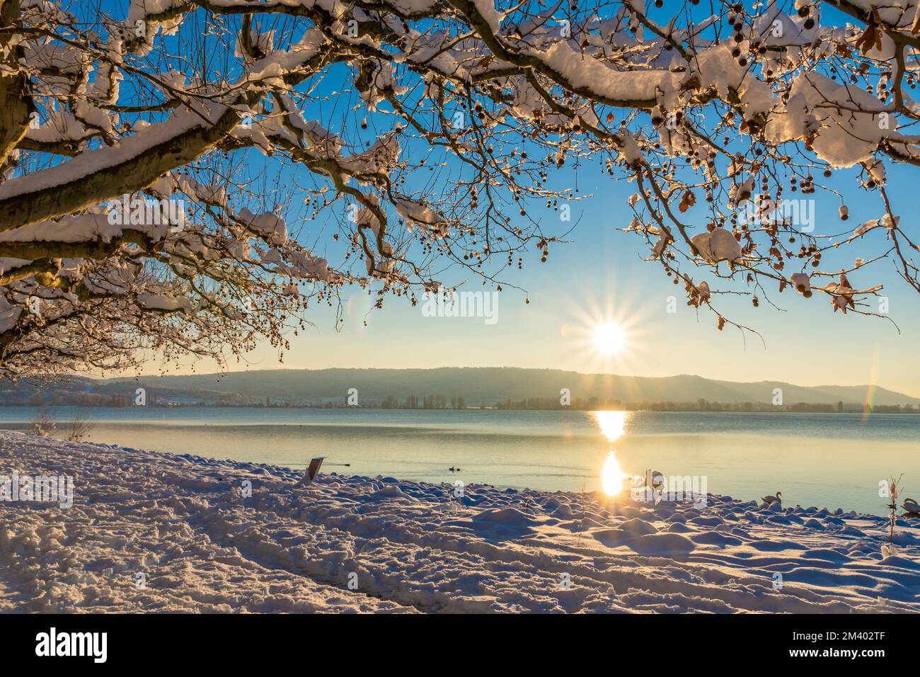Winterurlaub am Bodensee mit Sonnenschein und blauem Himmel und viel Schnee Stockfoto
