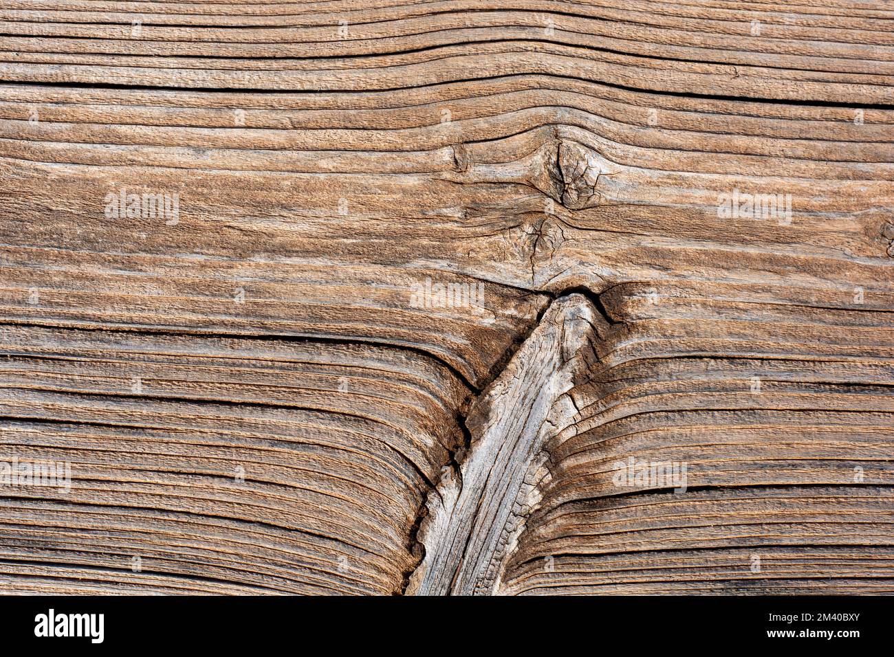 Detalle de una tabla de madera antigua, textura Stockfoto