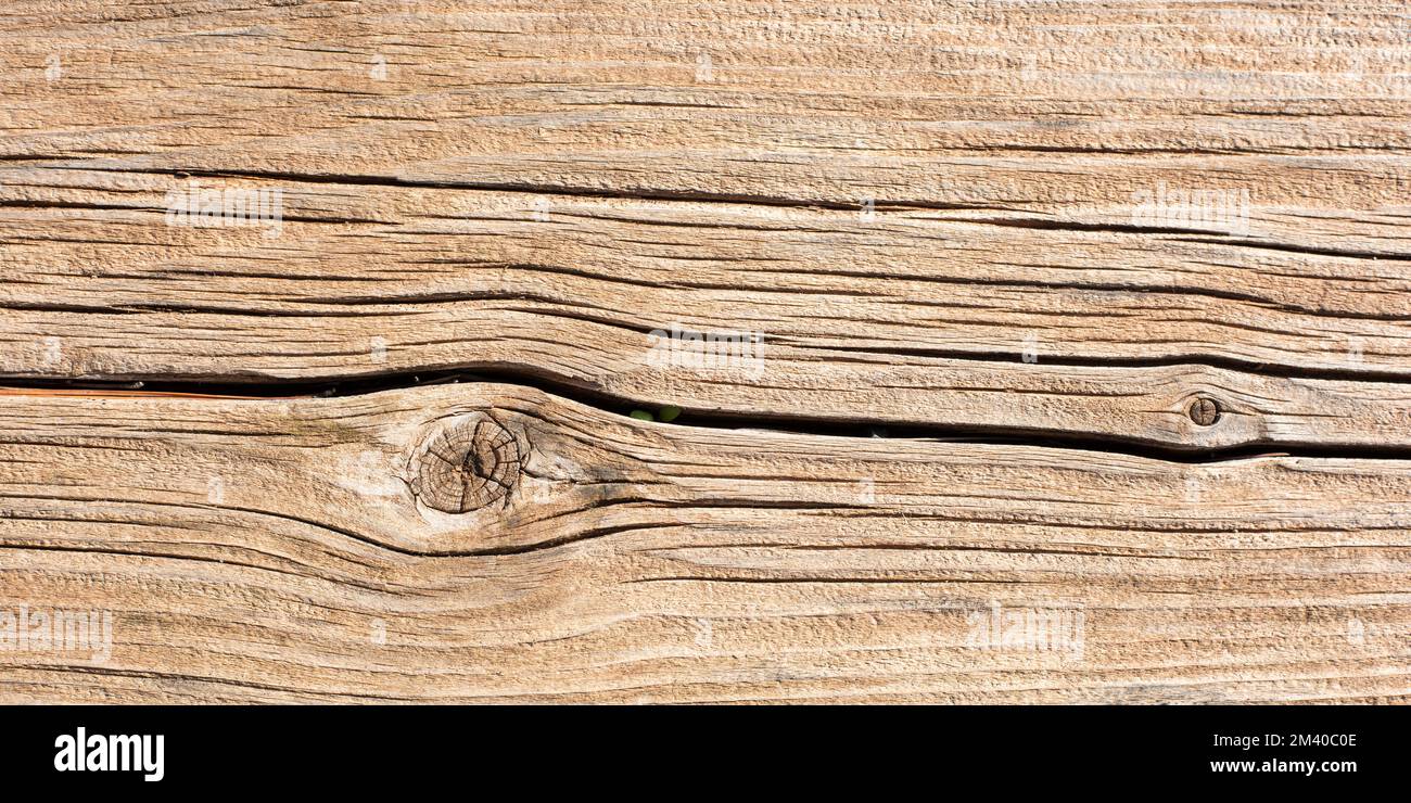 Detalle de una tabla de madera antigua, textura Stockfoto
