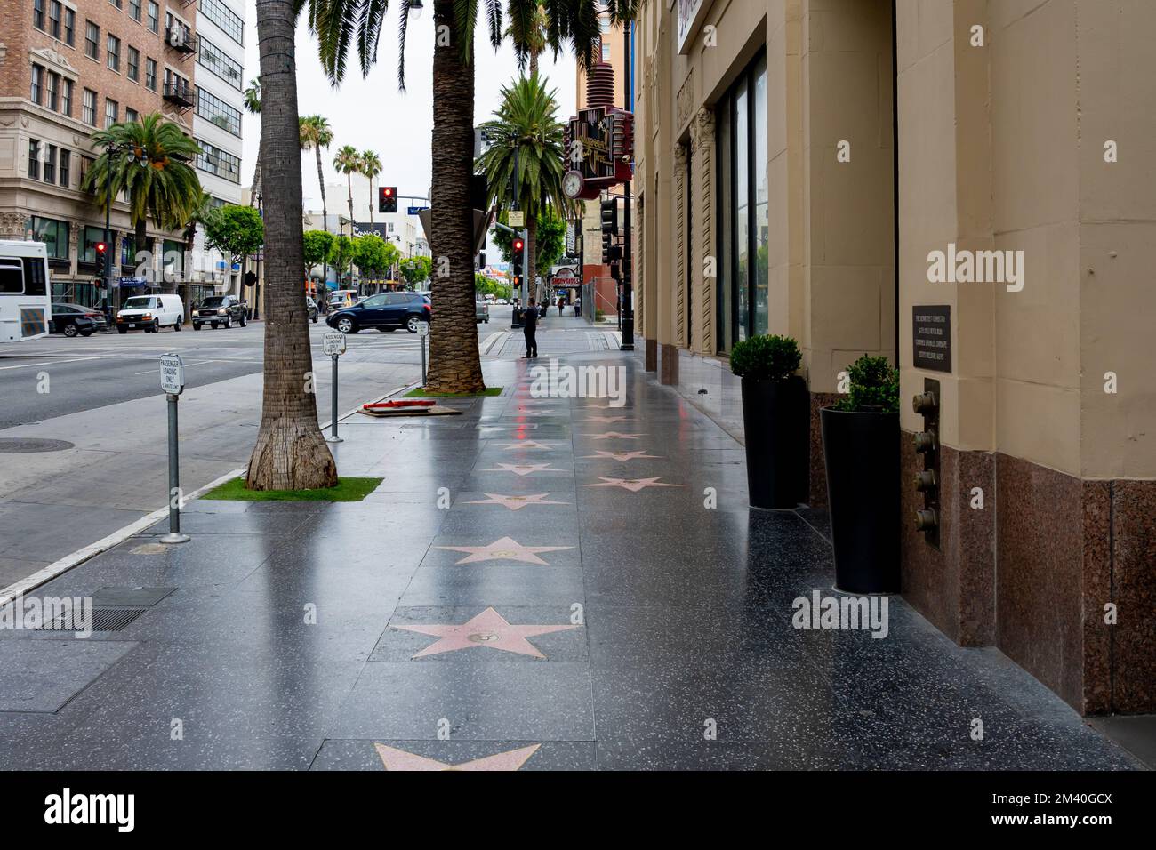 Der Hollywood Walk of Fame wird in Hollywood, Kalifornien, USA gezeigt Stockfoto