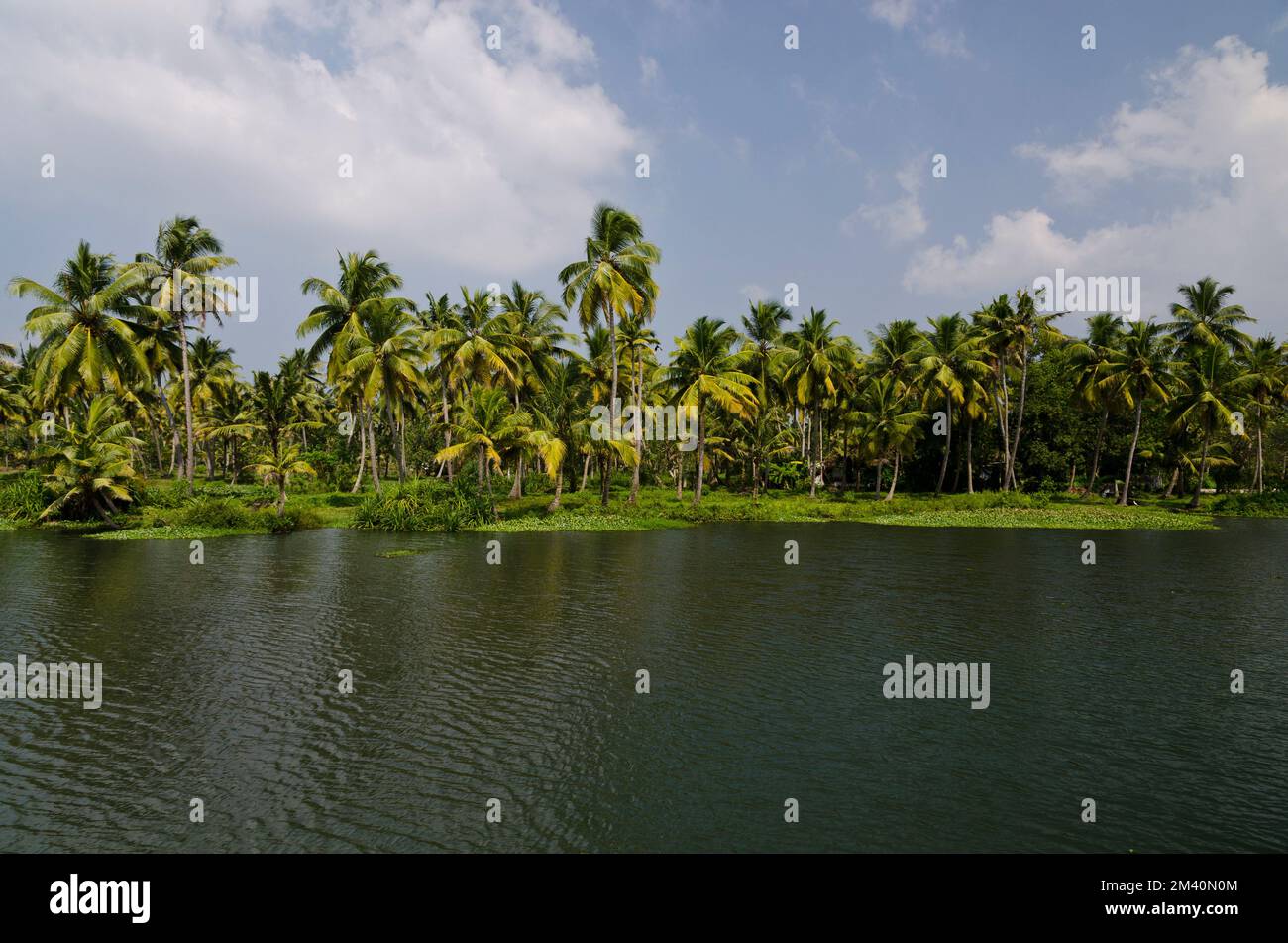 Die Landschaft der Nebengewässer von Kerala ist von unzähligen kleinen Kanälen geprägt Stockfoto