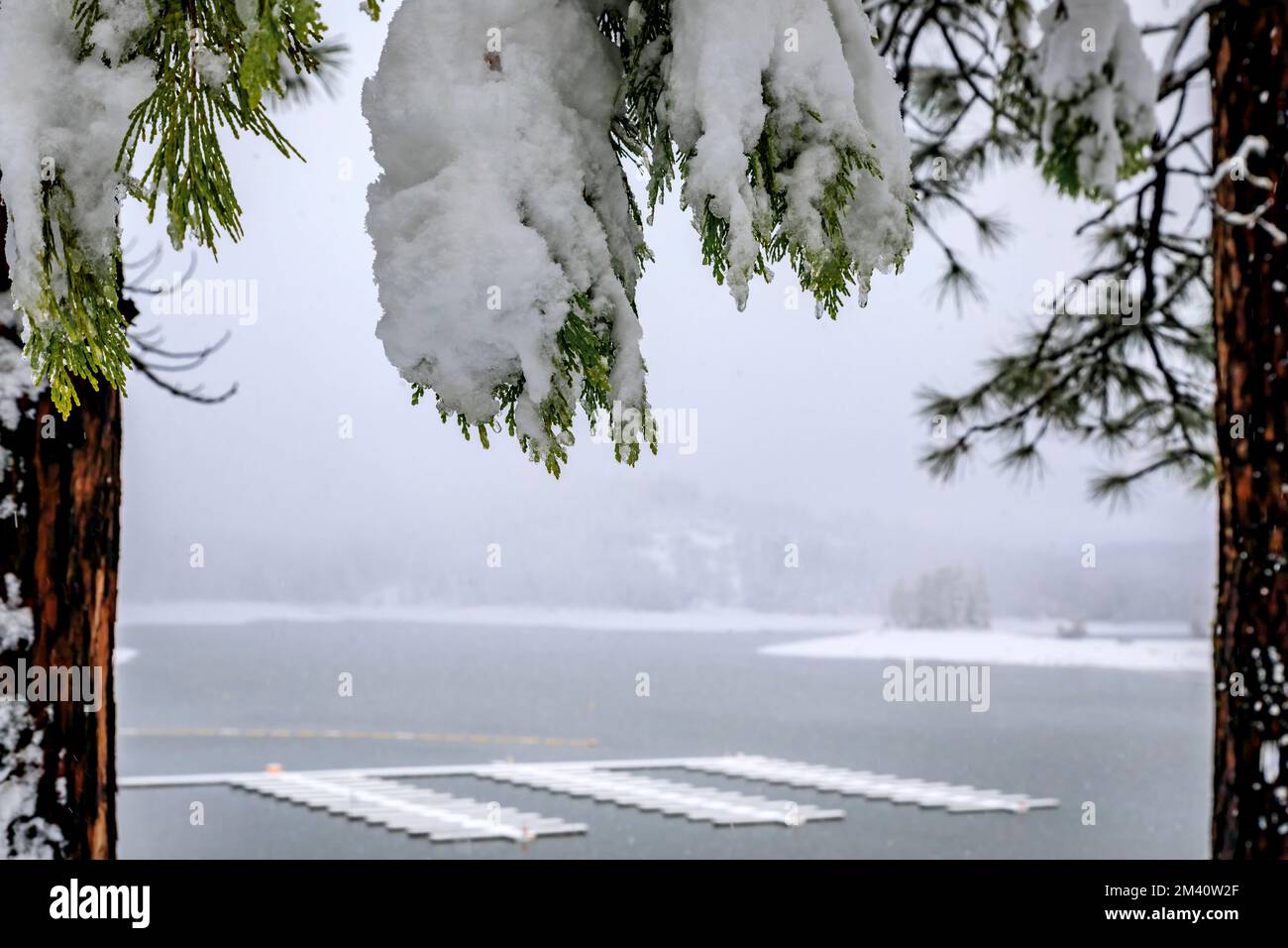 Schneesturm am Jenkinson Lake, umgeben von schneebedeckten Tannen im Sly Park in den Sierra Nevada Mountains, Nordkalifornien im Winter Stockfoto