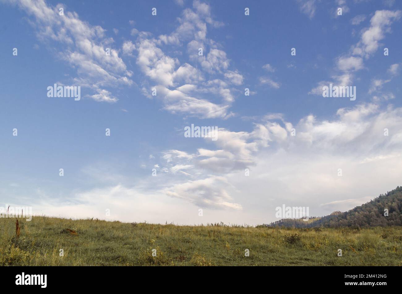 August im Berg Altai Stockfoto