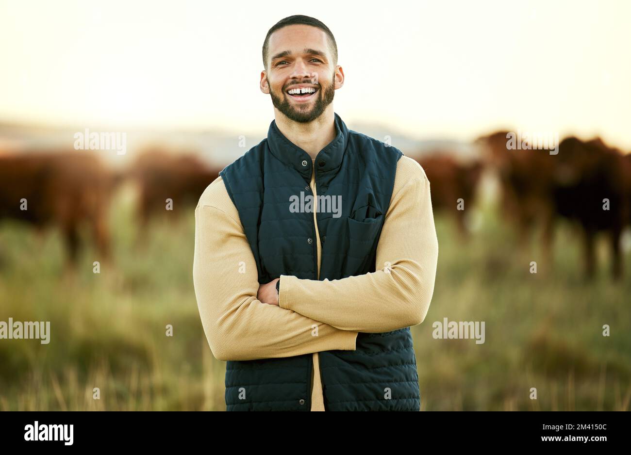 Lächeln, Kuh und Landwirtschaft mit Mann auf dem Hof für Nachhaltigkeit, Produktion und Vieh. Vieh, Arme überkreuzt und Management mit Porträt des Landwirts Stockfoto