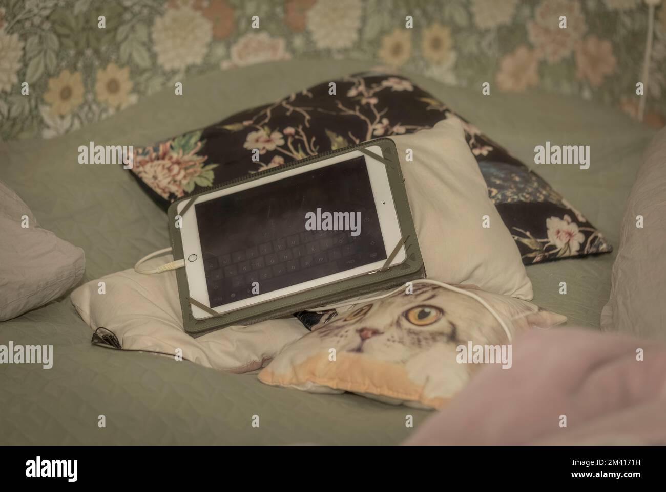 Ich bleibe nur zu Hause, wenn Covid 19 tobt Stockfoto