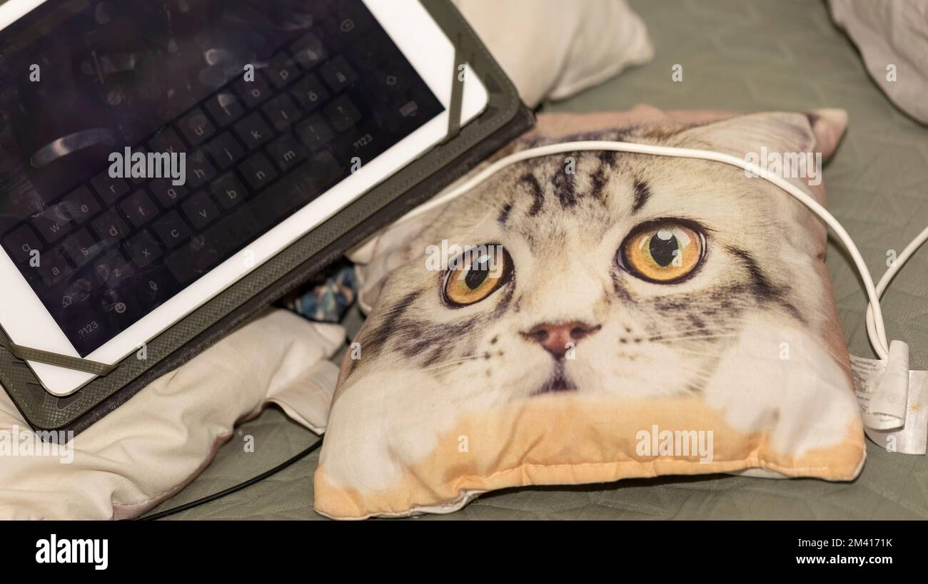 Ich bleibe nur zu Hause, wenn Covid 19 tobt Stockfoto