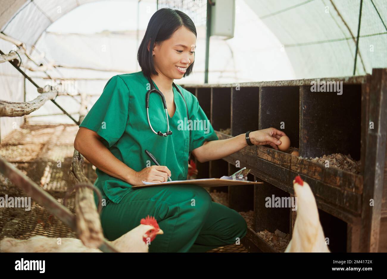 Huhn, Schreiben und Dokumente mit einer asiatischen Tierärztin, die Eier in einem Staatsstreich auf einem Bauernhof auf Nachhaltigkeit überprüft. Essen, Medizin und Checkliste mit einer Frau Stockfoto