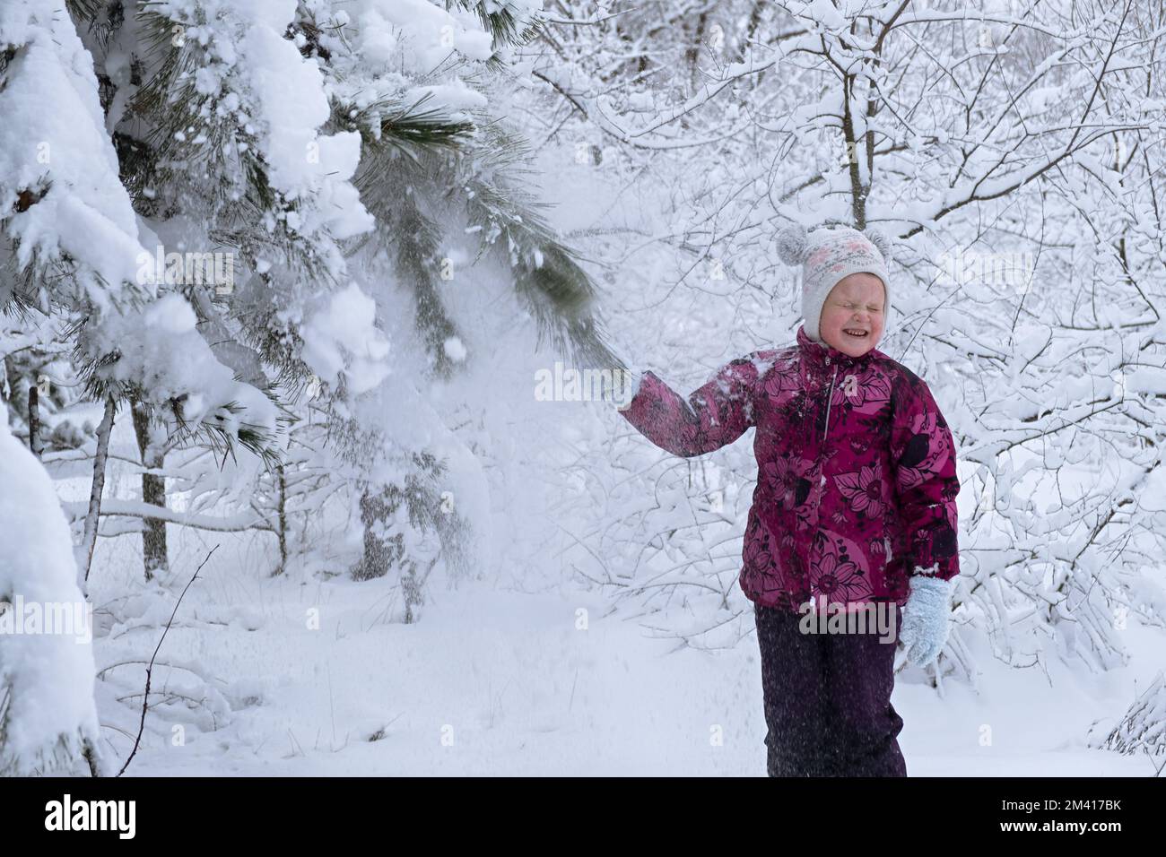 Kinderschnee macht Spaß. Ein kleines Mädchen in einem Winterwald. Er wirft Schnee von den Tannenästen und lacht. Das Konzept der Kindheit, Nachlässigkeit und Stockfoto
