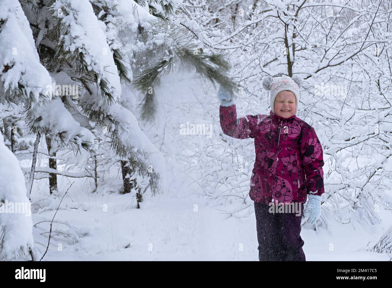 Kinderschnee macht Spaß. Ein kleines Mädchen in einem Winterwald. Er wirft Schnee von den Tannenästen und lacht. Das Konzept der Kindheit, Nachlässigkeit und Stockfoto