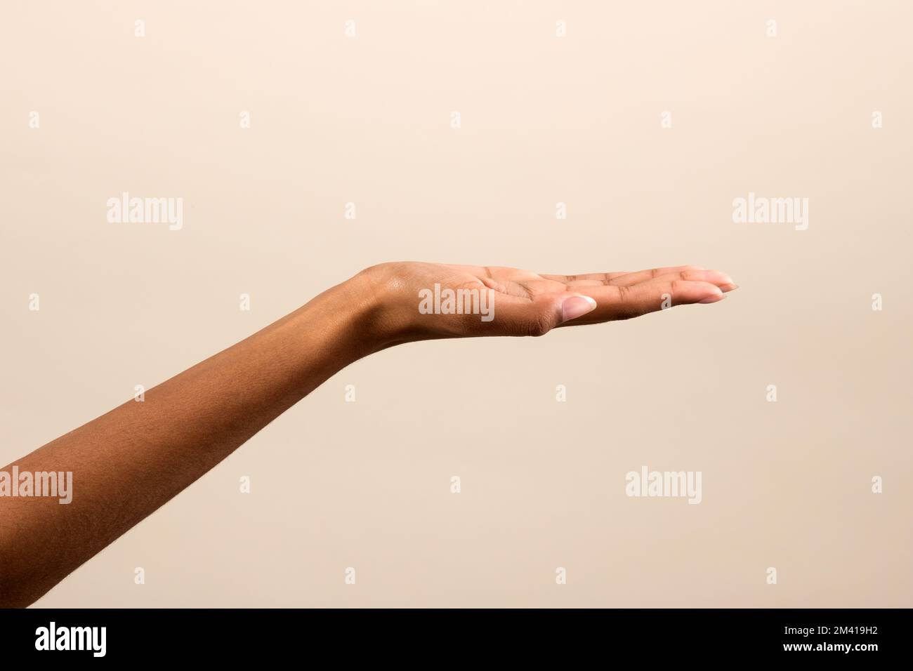 Eine anonyme afroamerikanische Frau, die einen leeren Raum auf beigefarbenem Hintergrund mit offener Handfläche zeigt Stockfoto