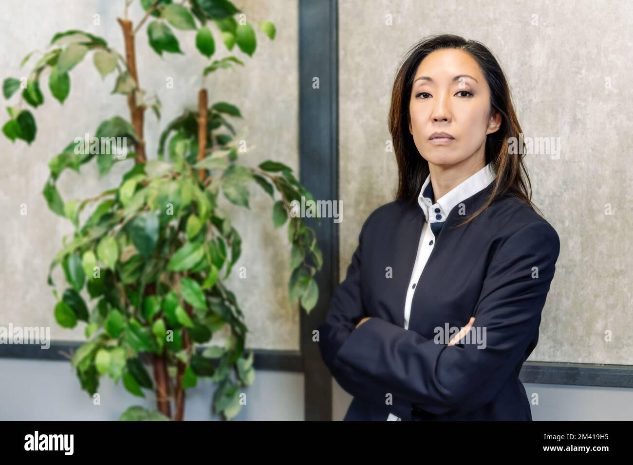 Selbstbewusste asiatische Unternehmerin im Anzug, die Arme kreuzt und in die Kamera schaut, während sie in der Nähe einer üppigen Topfpflanze im Büro steht Stockfoto