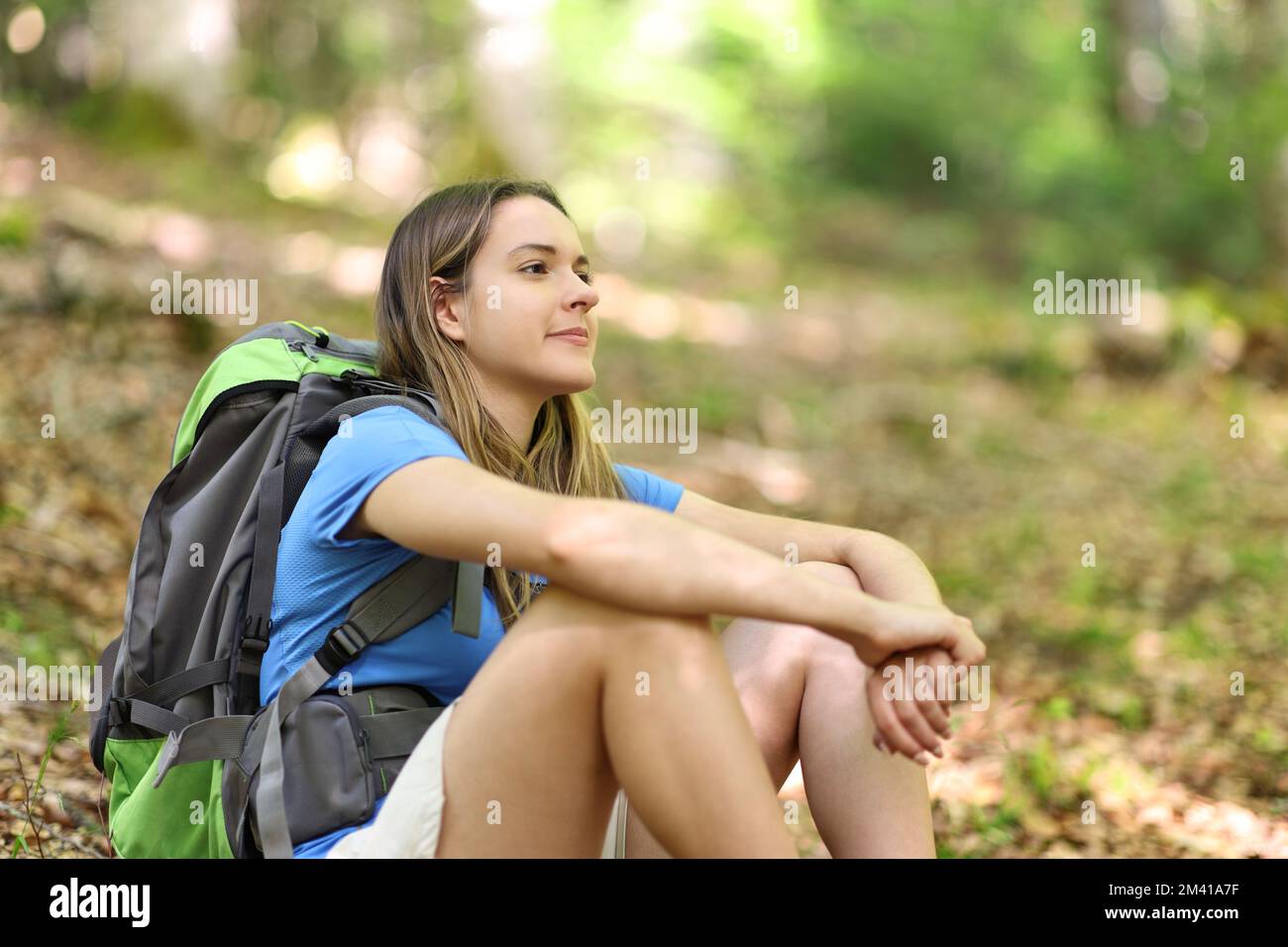 Wanderer ruht sich in einem Wald aus Stockfoto