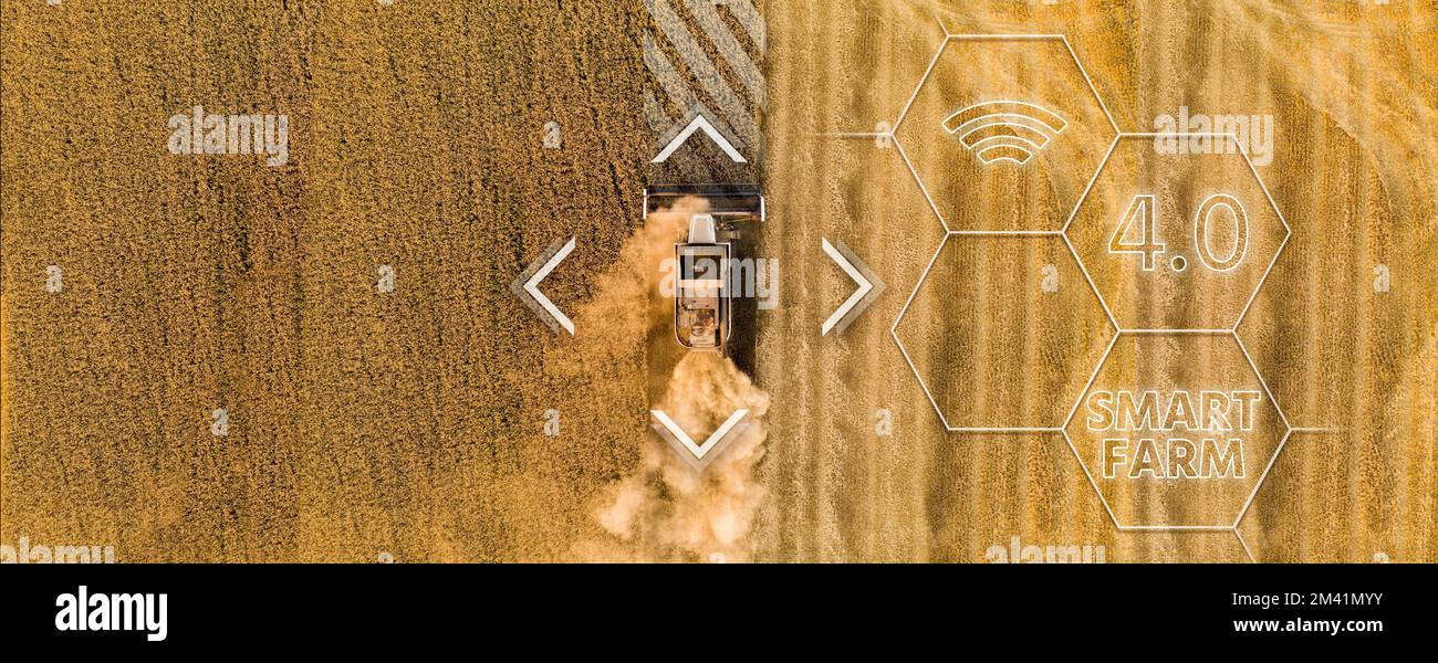 Autonomer Harvester auf dem Feld. Digitale Transformation in der Landwirtschaft Stockfoto