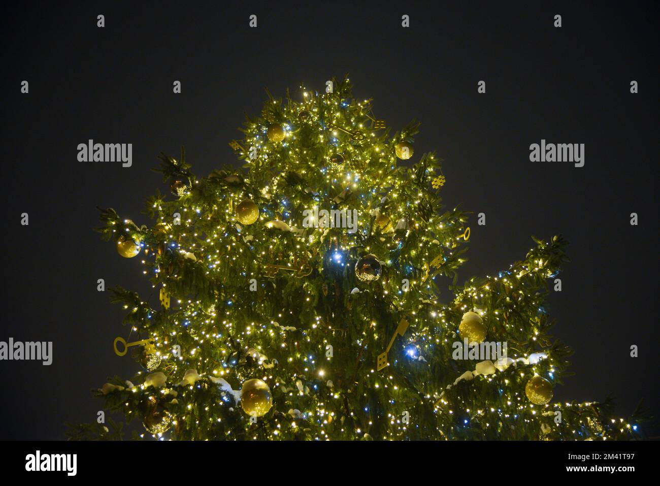 Weihnachtsbaum mit grünen schneebedeckten Zweigen, in denen Lichter und festliche Dekorationen angebracht sind. Stockfoto