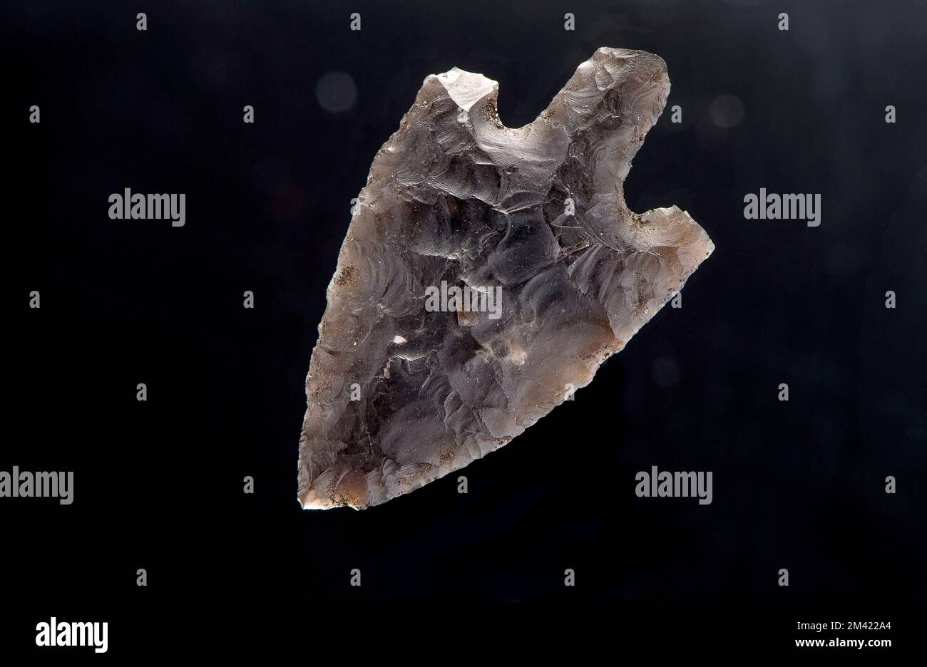 Eine gezackte, neolithische Pfeilspitze, die im New Forest in England gefunden wurde. Kleine Größe mit 3cm Zoll Länge und 2cm Zoll Breite. Stockfoto