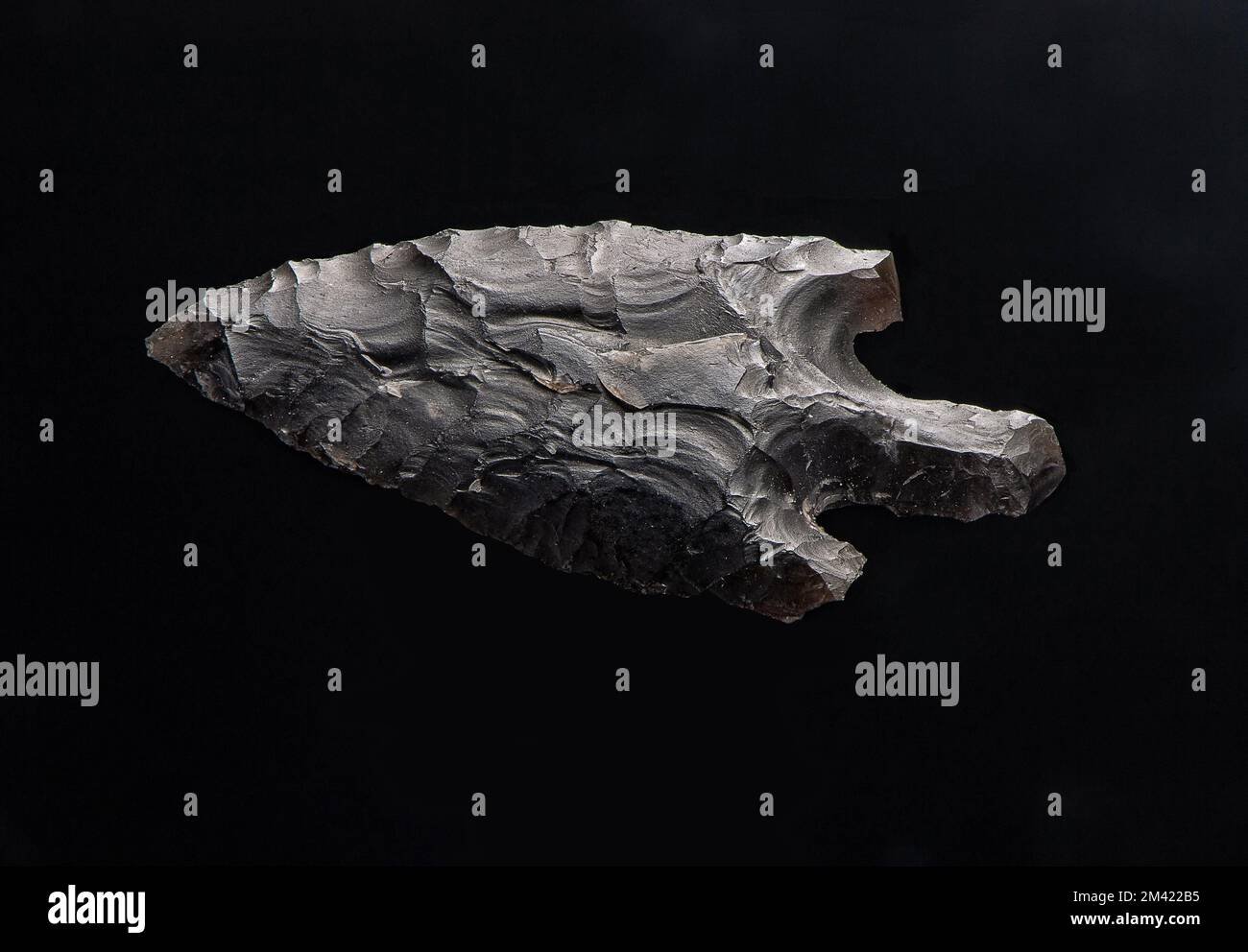 Eine gezackte, neolithische Pfeilspitze, die im New Forest in England gefunden wurde. Kleine Größe mit 3cm Zoll Länge und 2cm Zoll Breite. Stockfoto