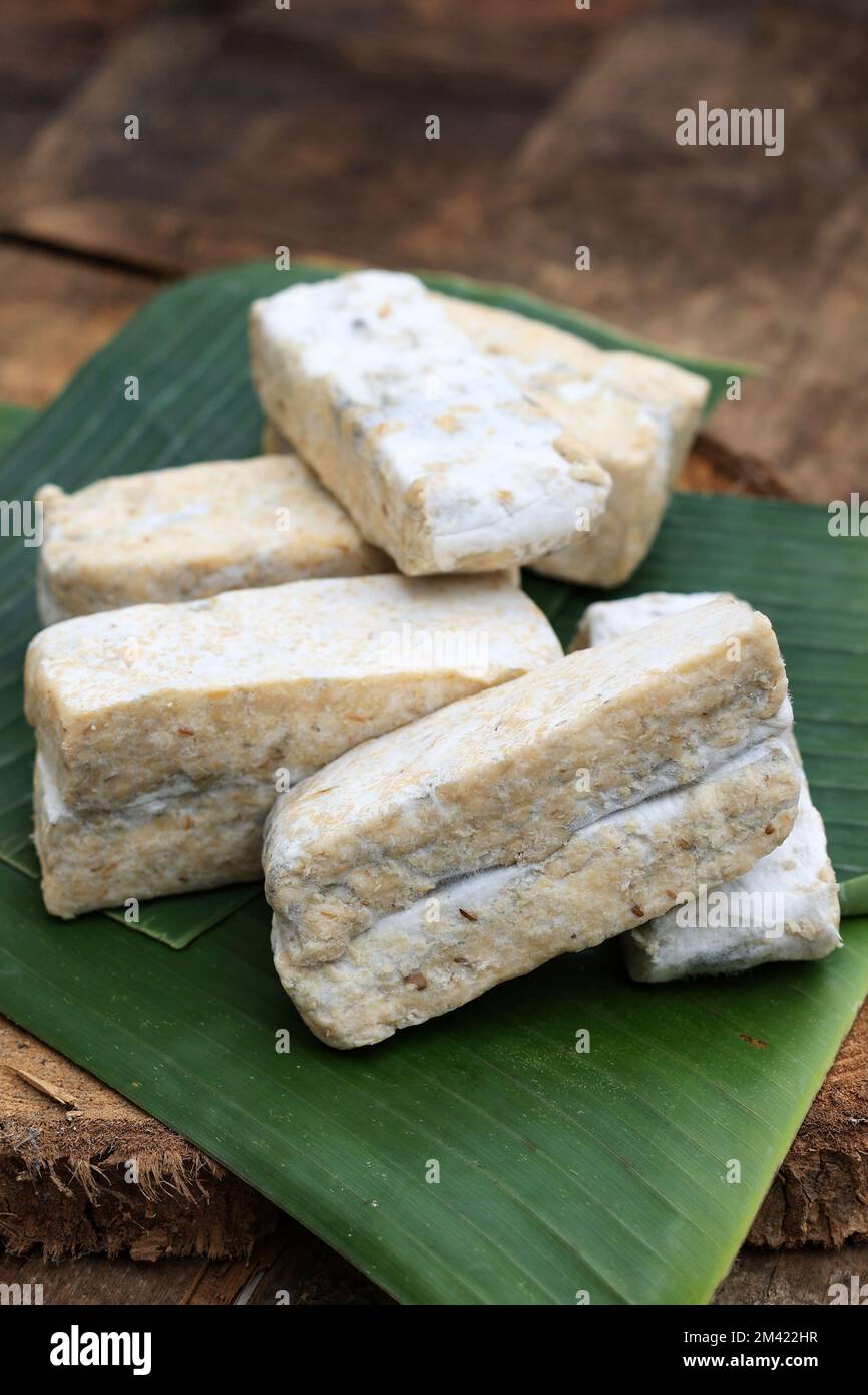 Roher Tempeh Gembus oder Tempe Gembos, weicher Tempeh aus Tofu Pulp Dregs. Stockfoto