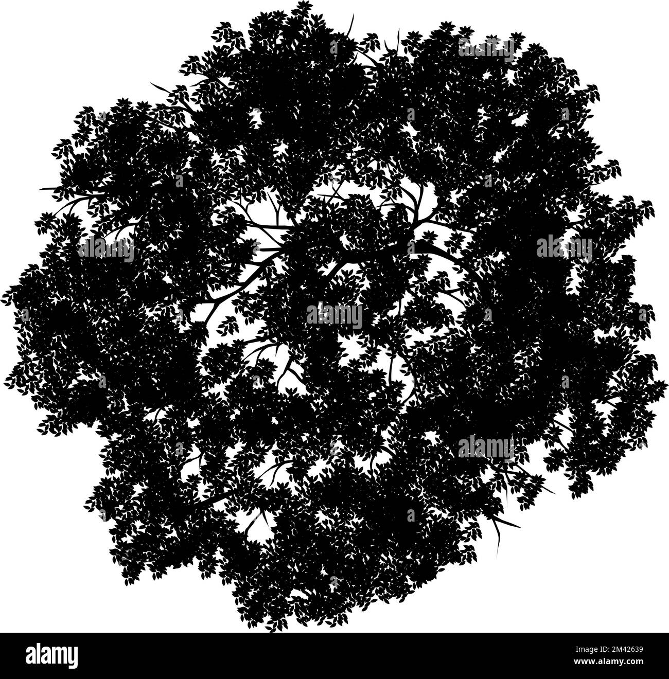 Obere Ansicht der Silhouette des Vektorbaums auf isoliertem weißem Hintergrund. Symbol „Overhead“. Stock Vektor