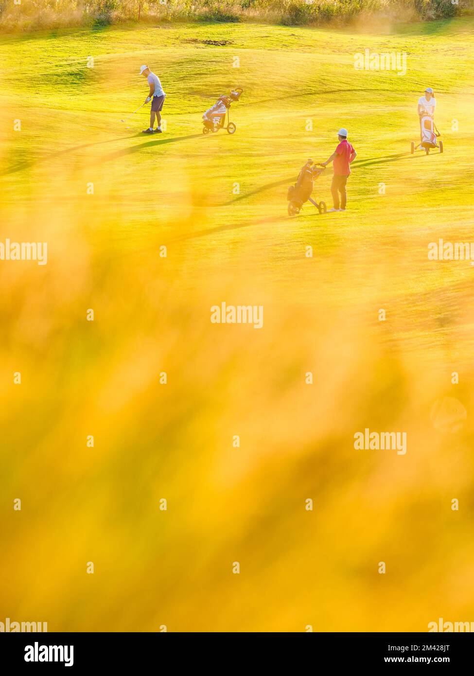 Gras vor den Leuten auf dem Golfplatz Stockfoto