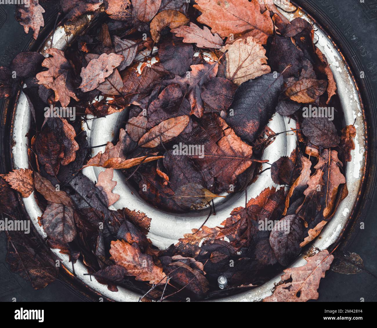 Reifen in braune Blätter auf dem Boden liegend abgedeckt Stockfoto