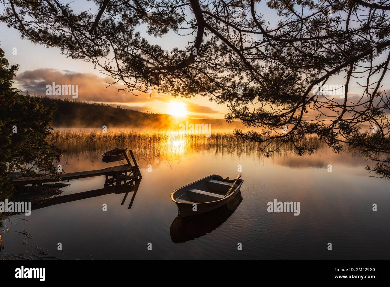 Ruderboot auf einem ruhigen See bei Sonnenaufgang Stockfoto