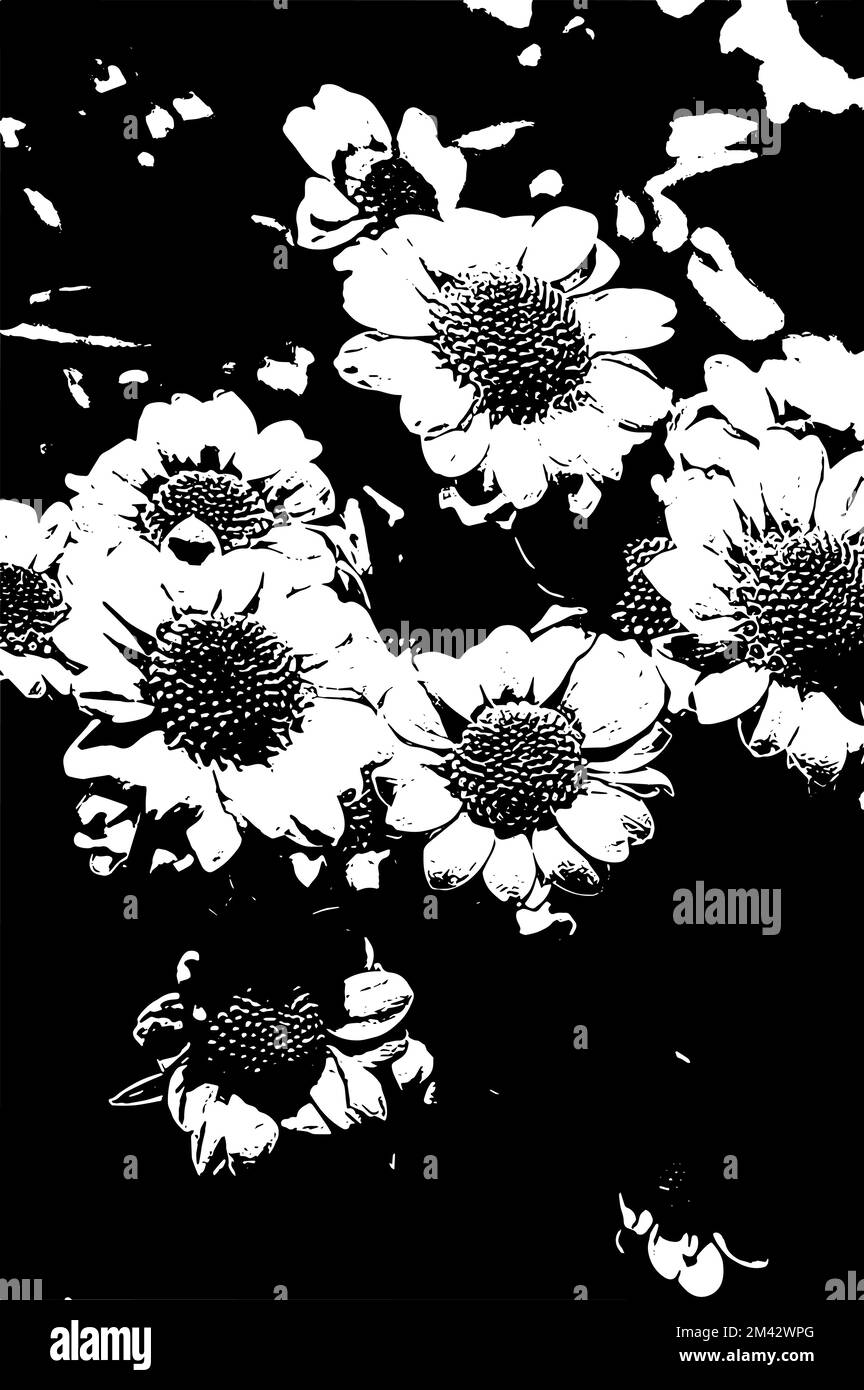 Schwarz-weiße Blume Nahaufnahme Vektorbild Stock Vektor