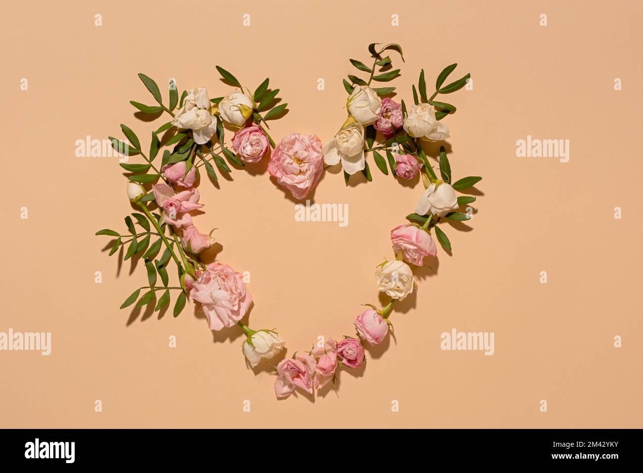 Ein Herz aus rosa Rosen. Minimalistisches Blumenmuster auf beigefarbenem Hintergrund. Blick von oben. Ein flaches, romantisches Layout mit zarten, duftenden Rosen. Die Stockfoto